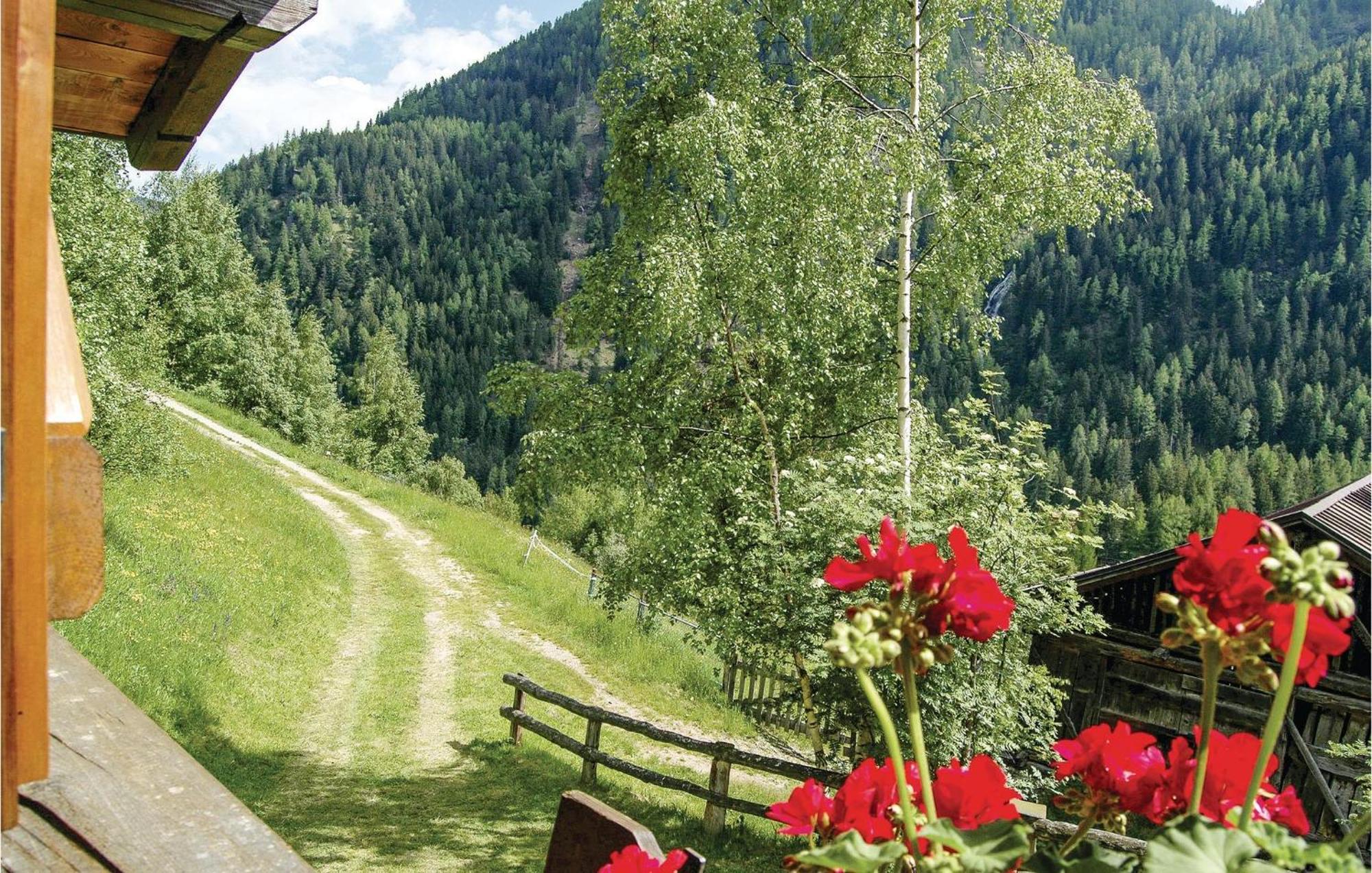Maso Roncal Villa Peio Kültér fotó