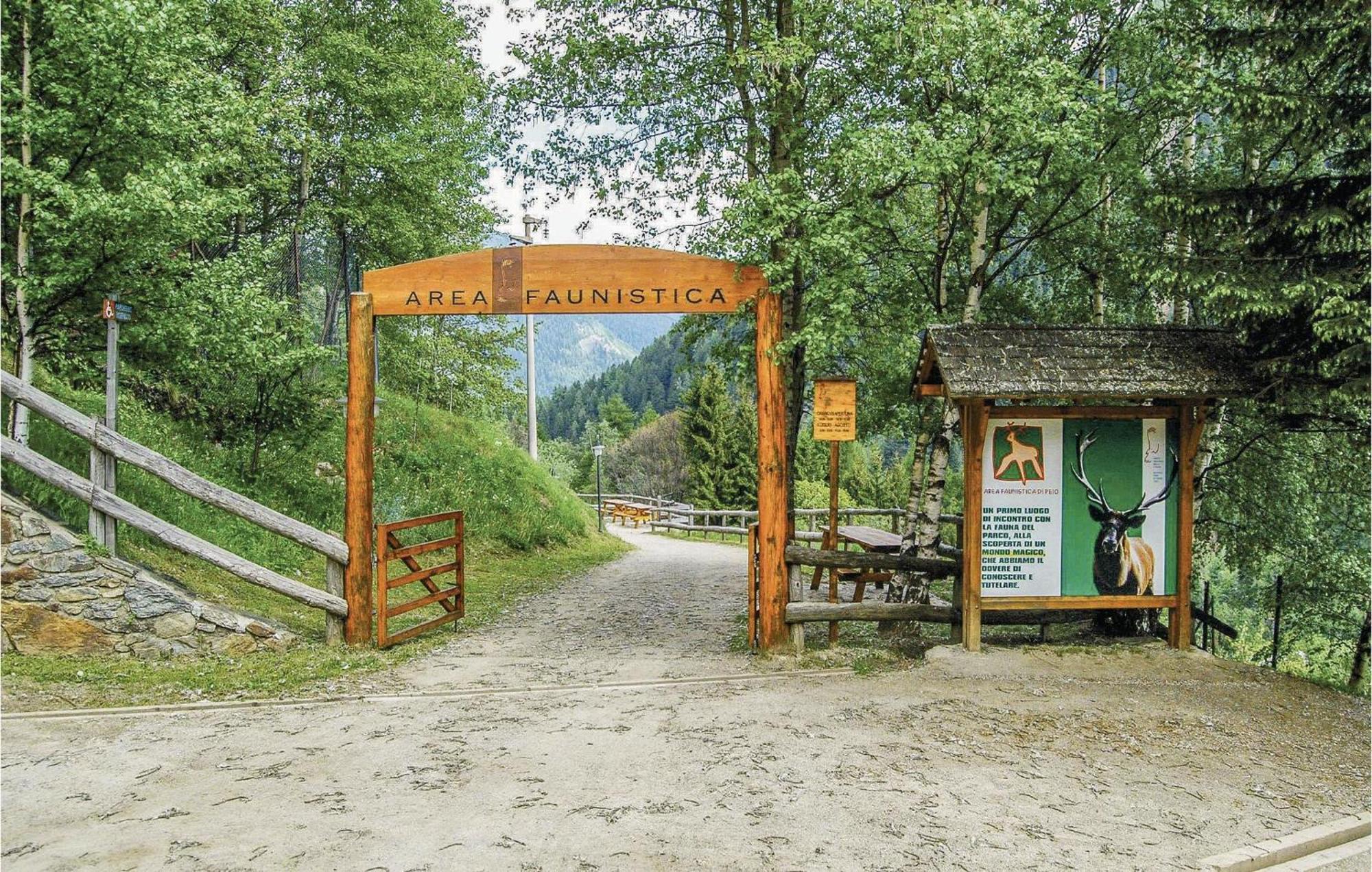 Maso Roncal Villa Peio Kültér fotó